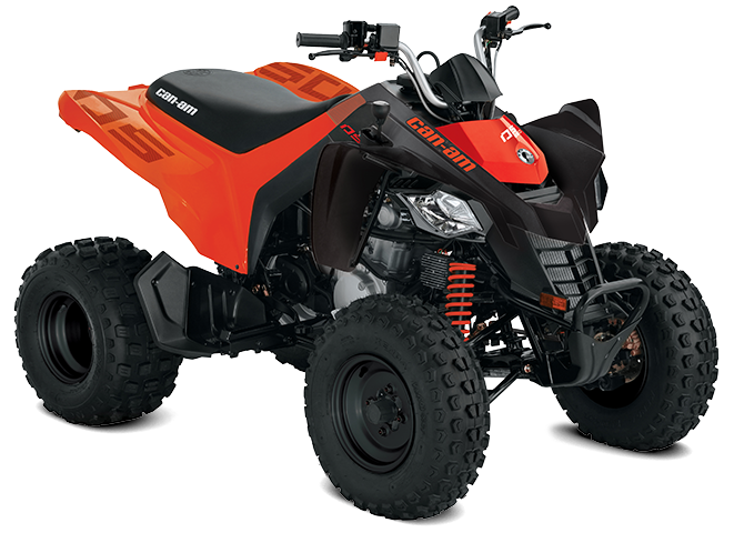 Can-Am DS 250 Black/Can Am Red 2023